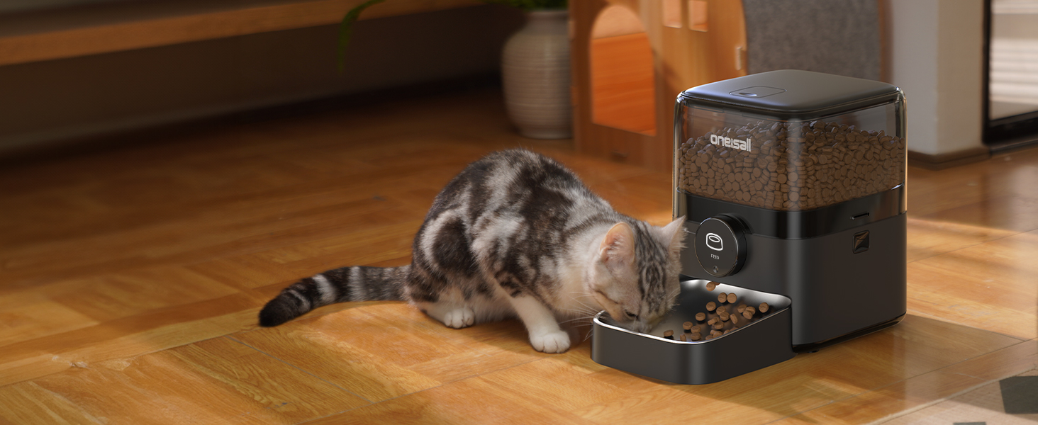Automatic cat feeder
