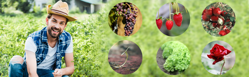 garden lights indoor