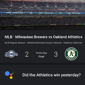 google assistant, shield tv, hands free, google home, alexa, echo