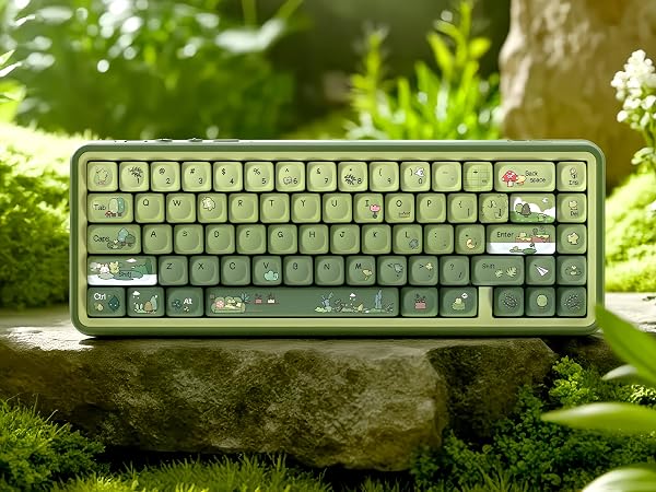 Green Frog Keycap Set, PBT Custom Keycaps 60% 75% 100%,dye Sublimation Keyboard Key caps,MOA Profile
