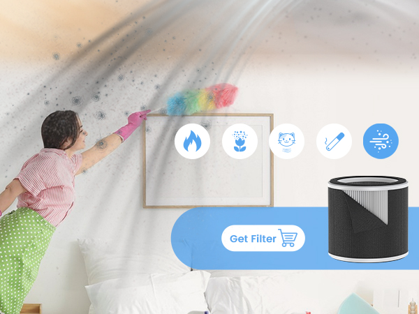large room air purifiers for dust