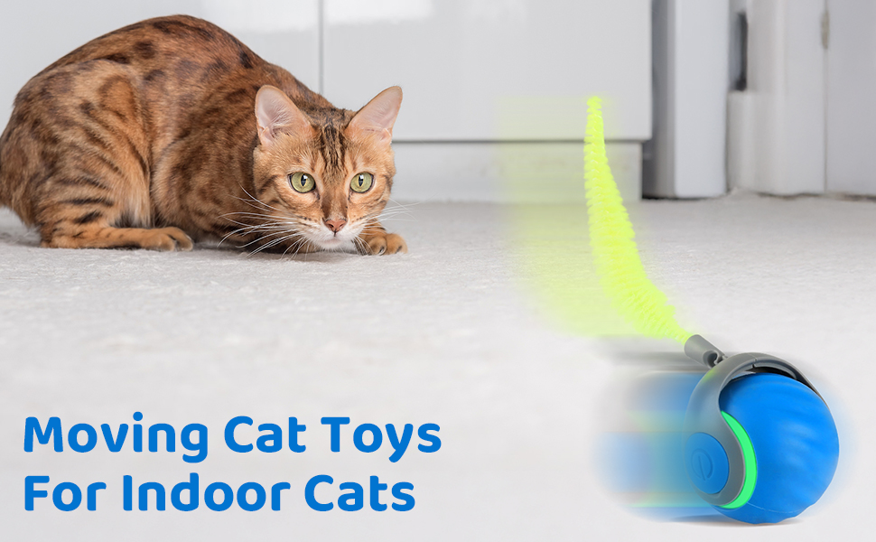 moving cat toys for indoor cats