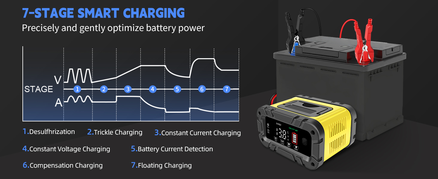 lithium Lifepo4 battery charger