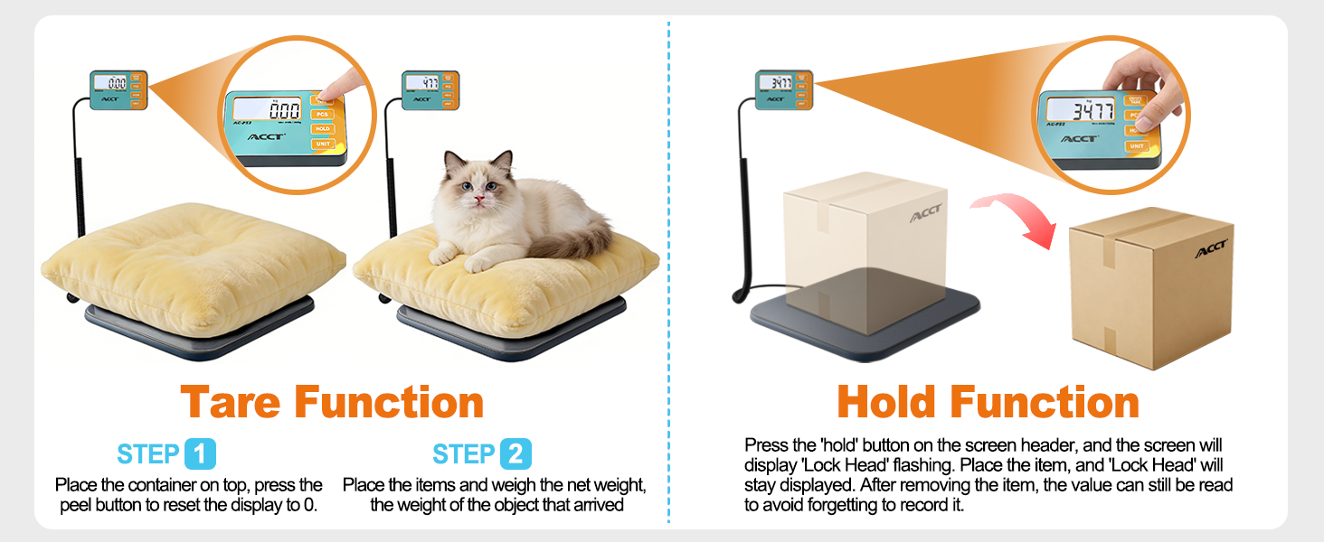 scale food