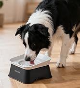 dog water bowl no spill