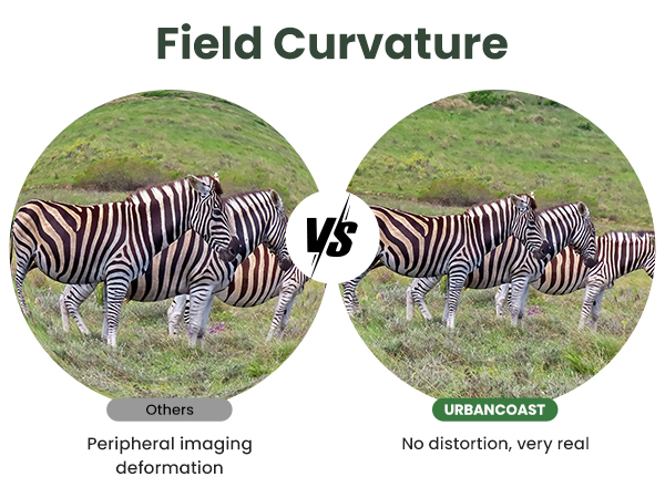 Field Curvature