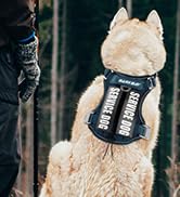 No Pull Tactical Dog Harness