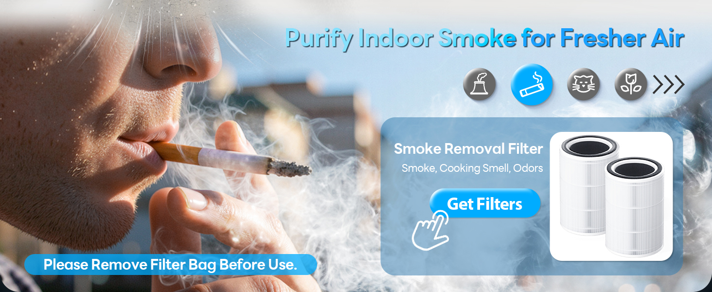 air purifiers for home large room