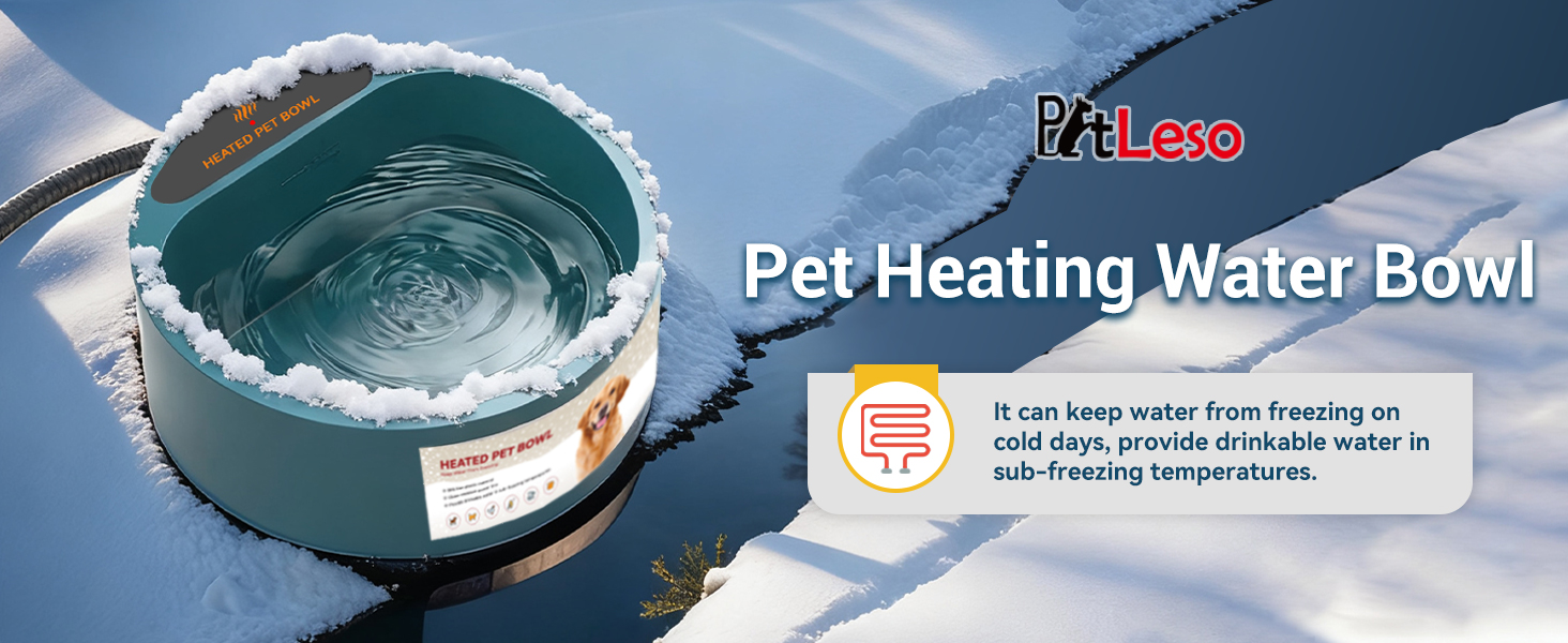 dog heating bowl