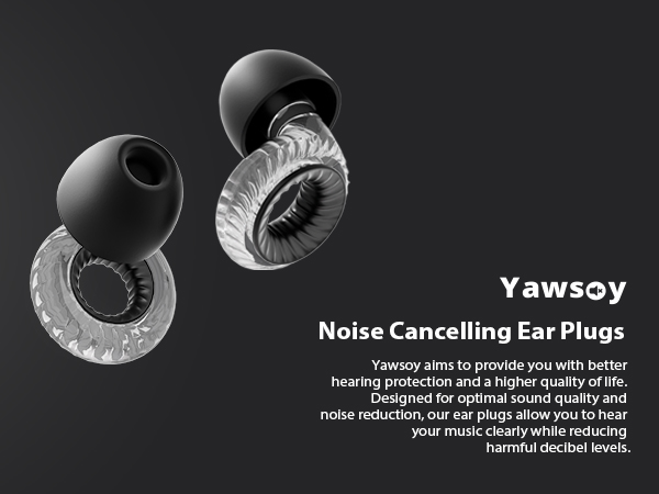 ear plugs for musicians