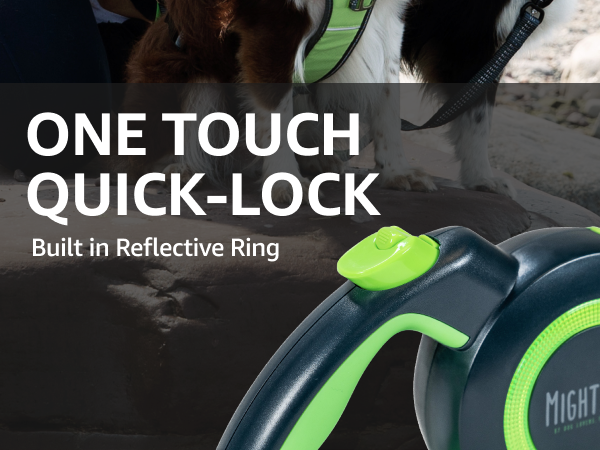 retractable dog leash 