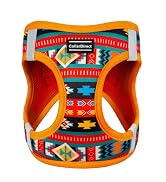 pattern harness