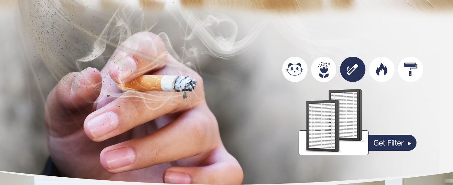 pet air purifiers for home pee smell