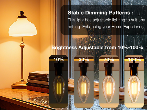 b11 e12 led candelabra bulbs