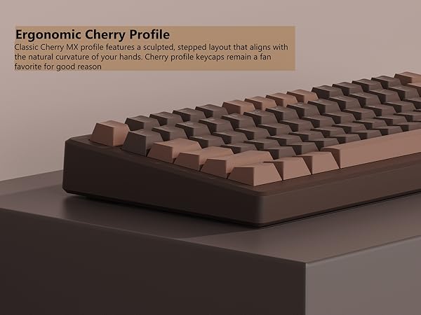 Keycaps for Mechanical Keyboard, PBT Keycaps Cherry Profile, Shine Through Key cap