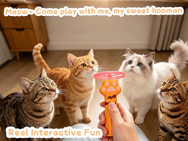 Real Interactive Fun