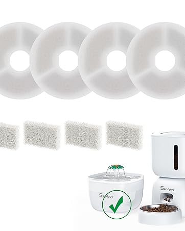 automatic cat feeder