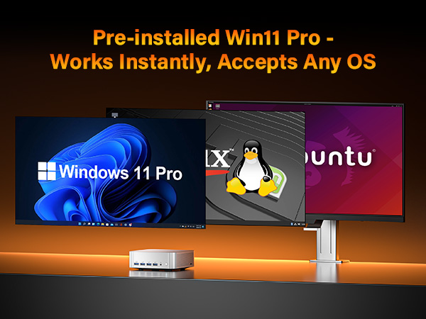Windows 11 Pro