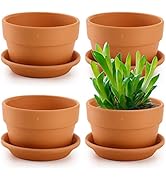 Suwimut 4 Pack Terracotta Pots with Saucer, 6 Inch Large Terra Cotta Plant Pot with Drainage Hole...