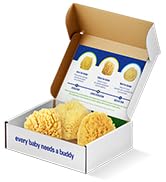 Sea Sponges