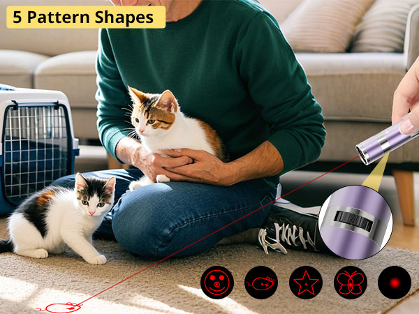 cat toys