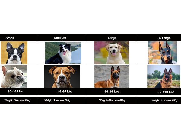 dog harness w6
