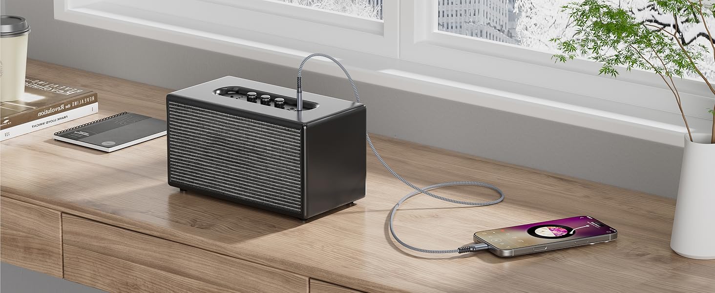 B_PC_USB_C_AUX_CABLE_1P(5)