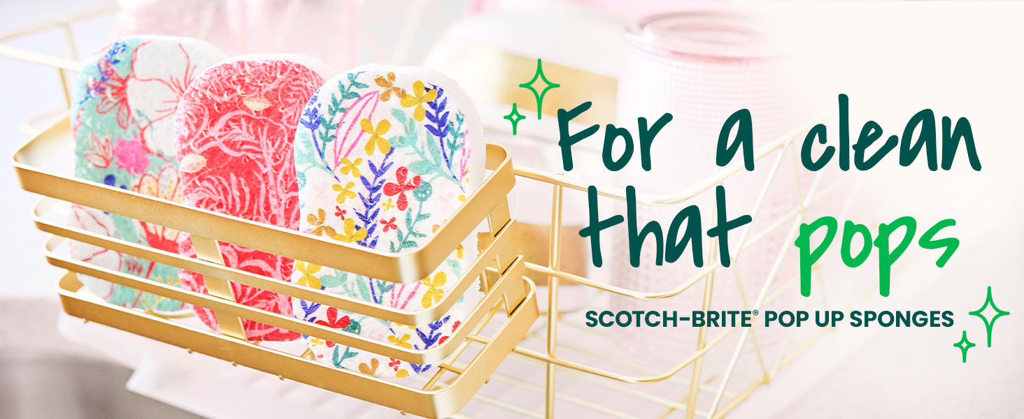 scotch brite pop up sponges