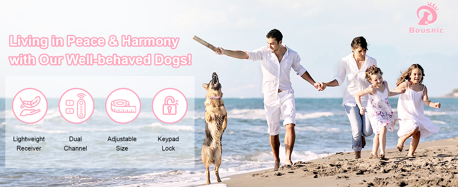 dog training collar