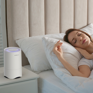 Purifier for Bedroom