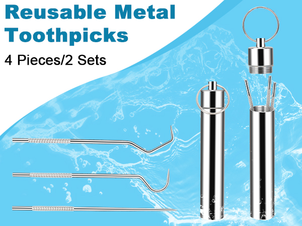 Metal Toothpicks Kit