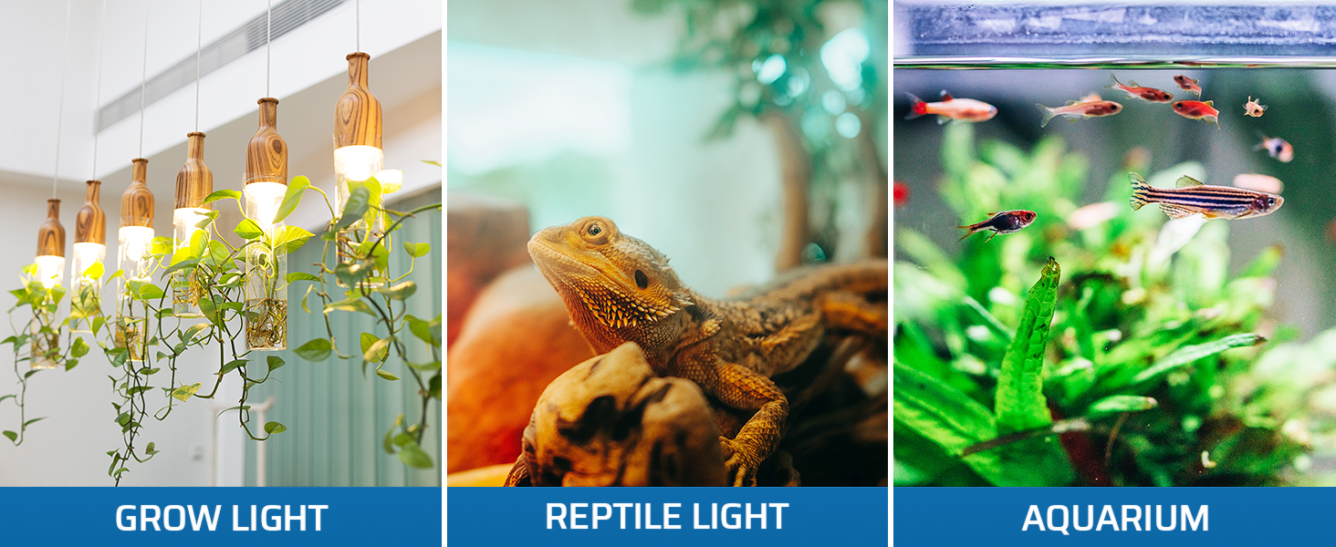 grow light