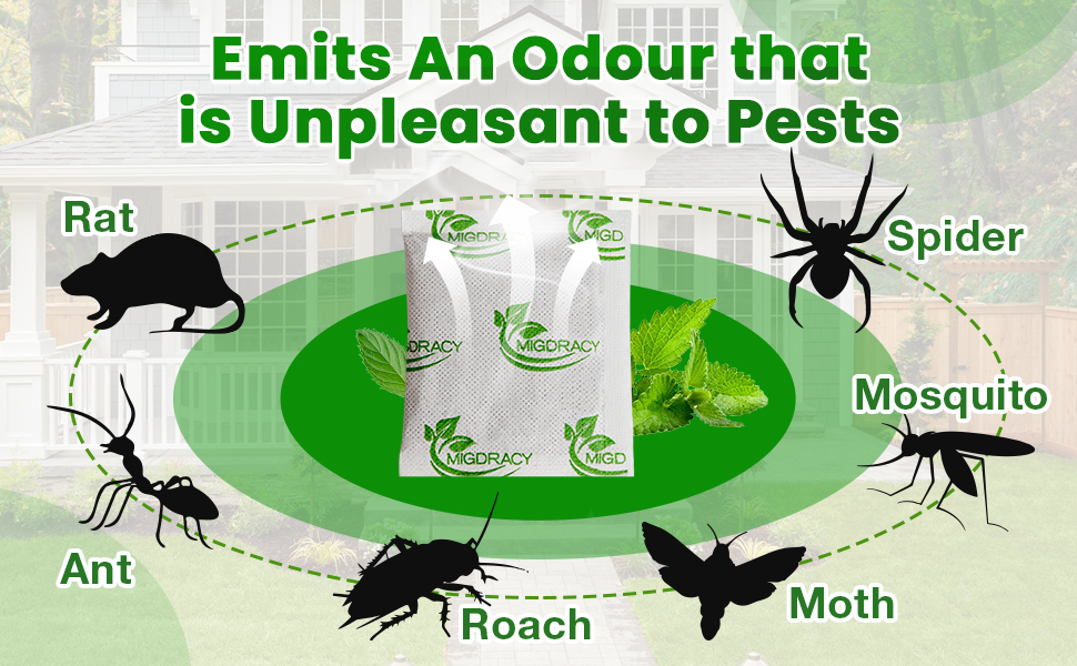 insect pouches