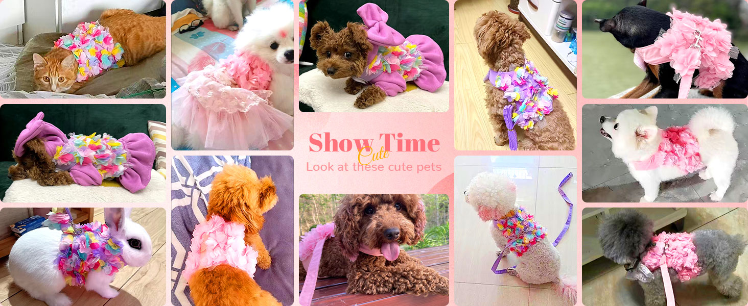 dog harness