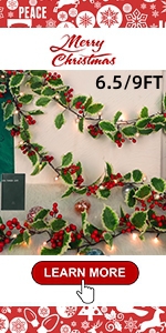 https://m.media-amazon.com/images/S/aplus-media-library-service-media/029aa7e8-f6d3-48d8-9eeb-5f0880f06c40.__CR0,0,150,300_PT0_SX150_V1___.jpg