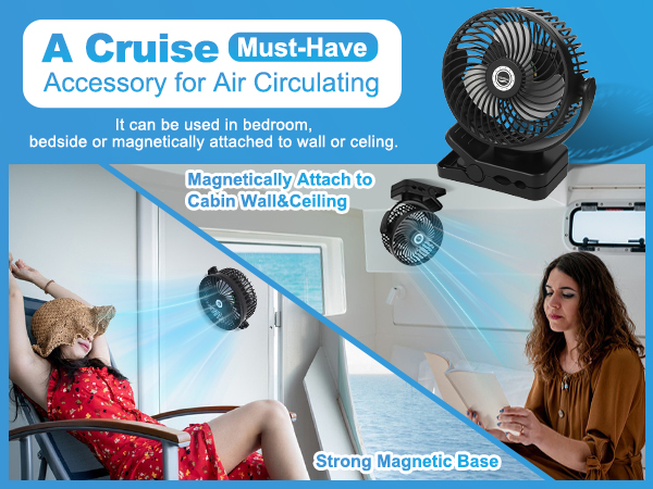 cruise approved fan