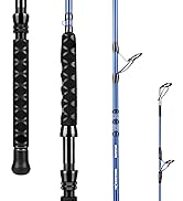 KastKing Kapstan Saltwater Spinning Rod, Boat &amp; Surf Fishing Rod, Lightweight S-Curve Graphite Bl...