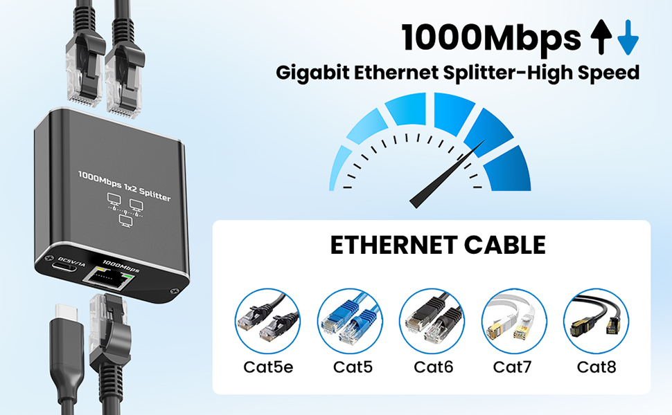 1000Mbps