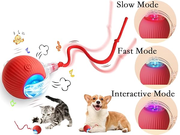 cattoybll