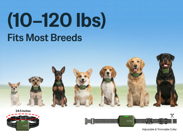 remote dog training collar adjustable waterproof collar for dogs 10 to 120 lbs all breeds