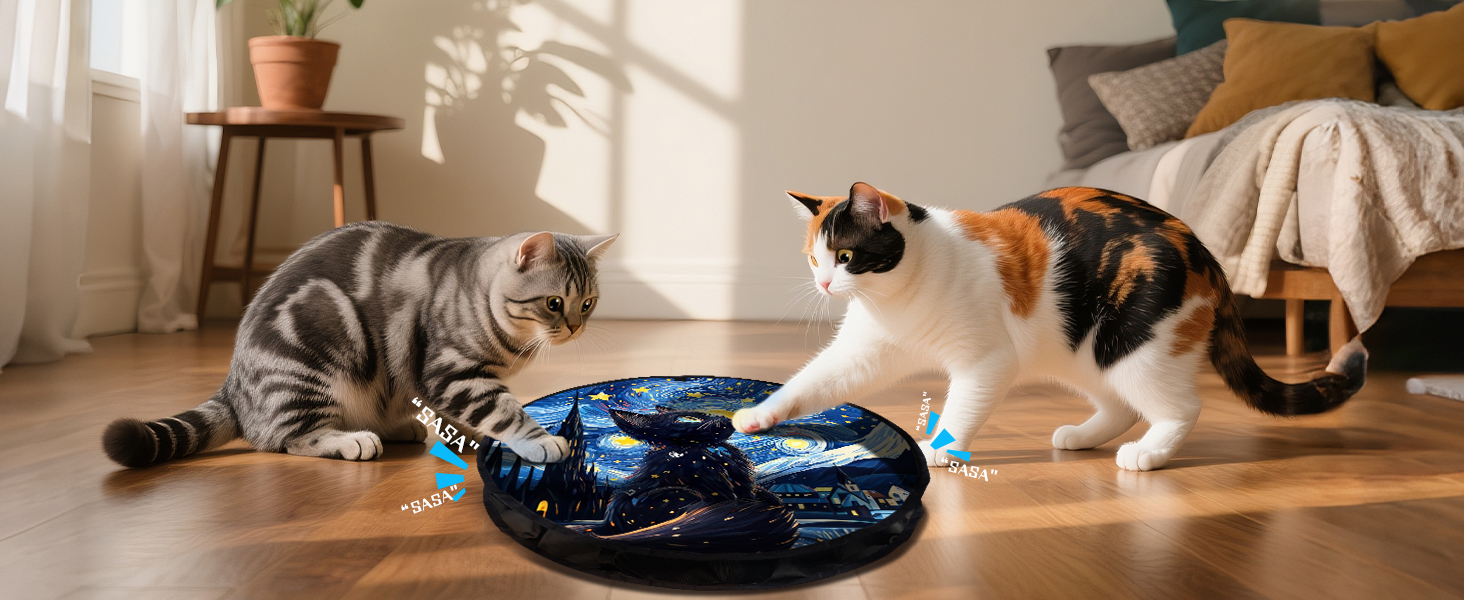 CAT TOY
