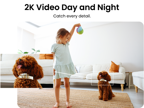 2K Video Day and Night