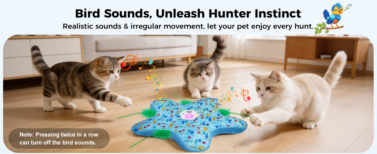 interactive cat toy