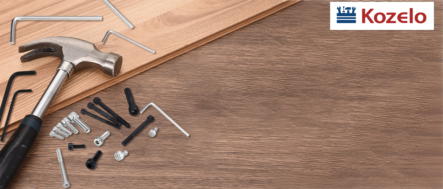 Hex Socket Cap Screws