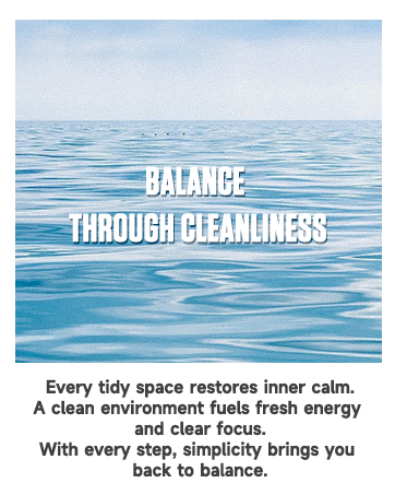 shoe cleaner spray
