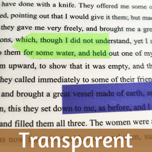 KICNIC Sticky Notes Tabs