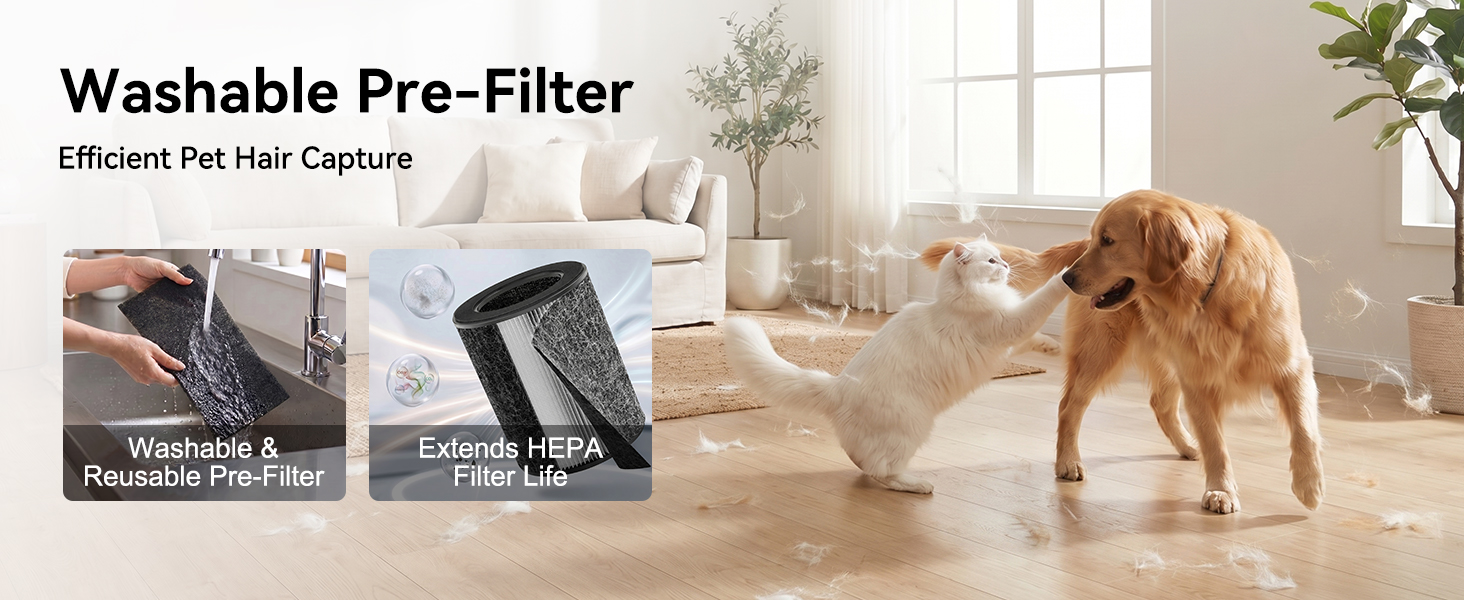 washable filter