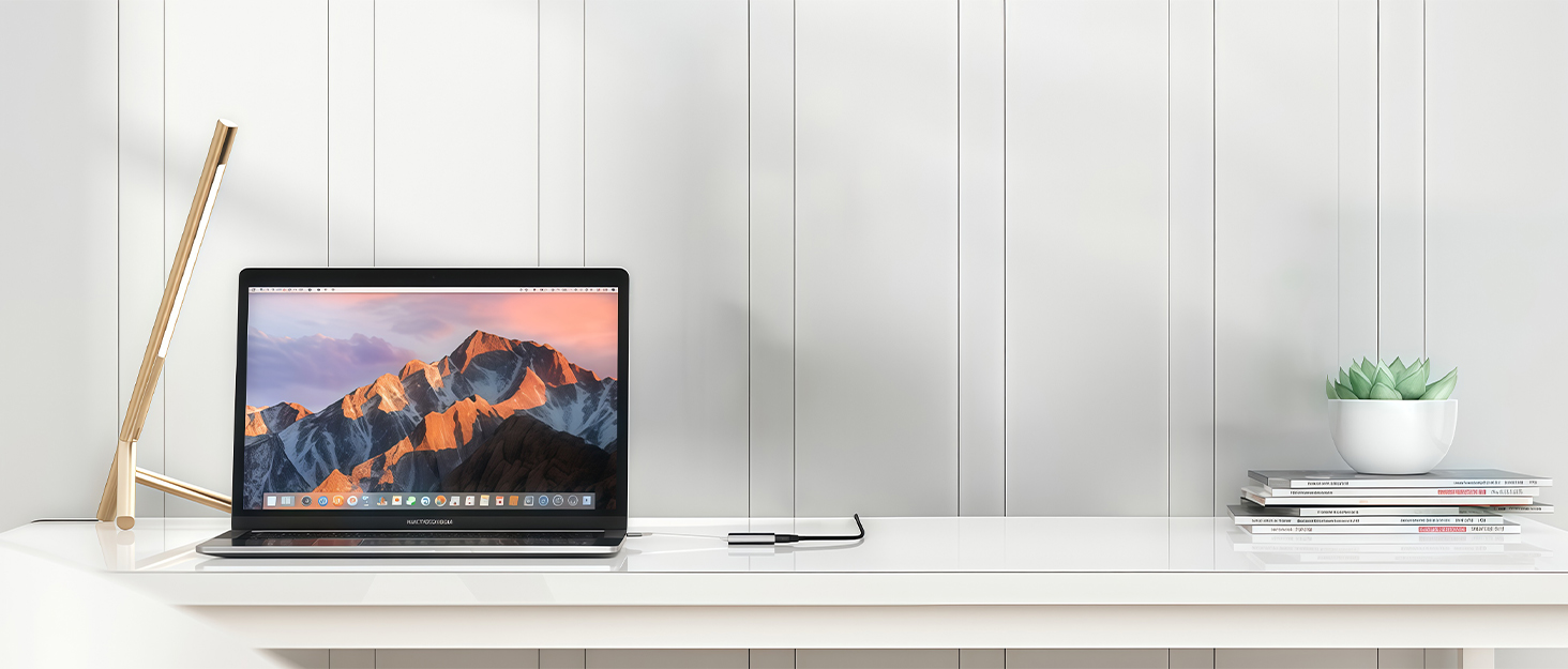 dywcdnice charging station