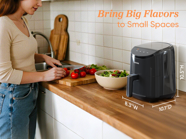 Mini Air Fryer airfryer on sale