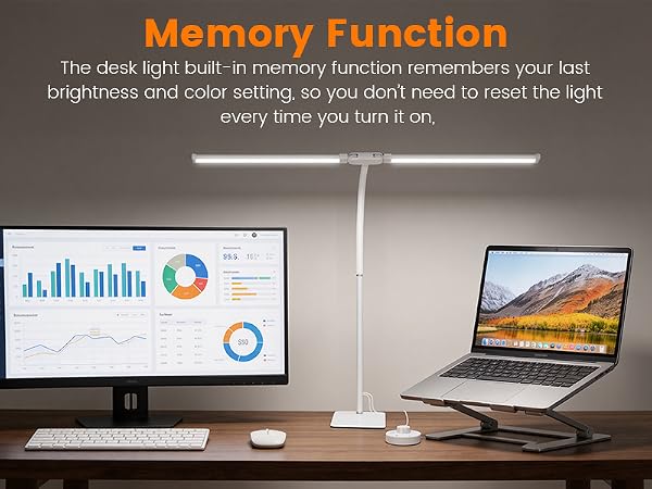 LED Desk Lamp with Base, Double Head Smart Desk Light with Controller Table Lamp for Home Office